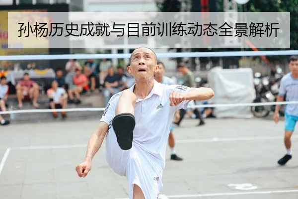 孙杨历史成就与目前训练动态全景解析（jinsha）